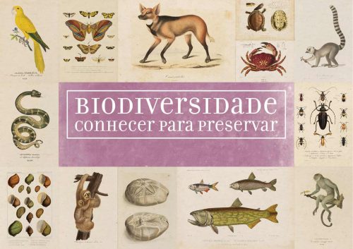 Biodiversidade: conhecer para preservar
